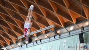 aere trampoline cup tra tum dmt ph by tomasi simone ferraro   fgi 